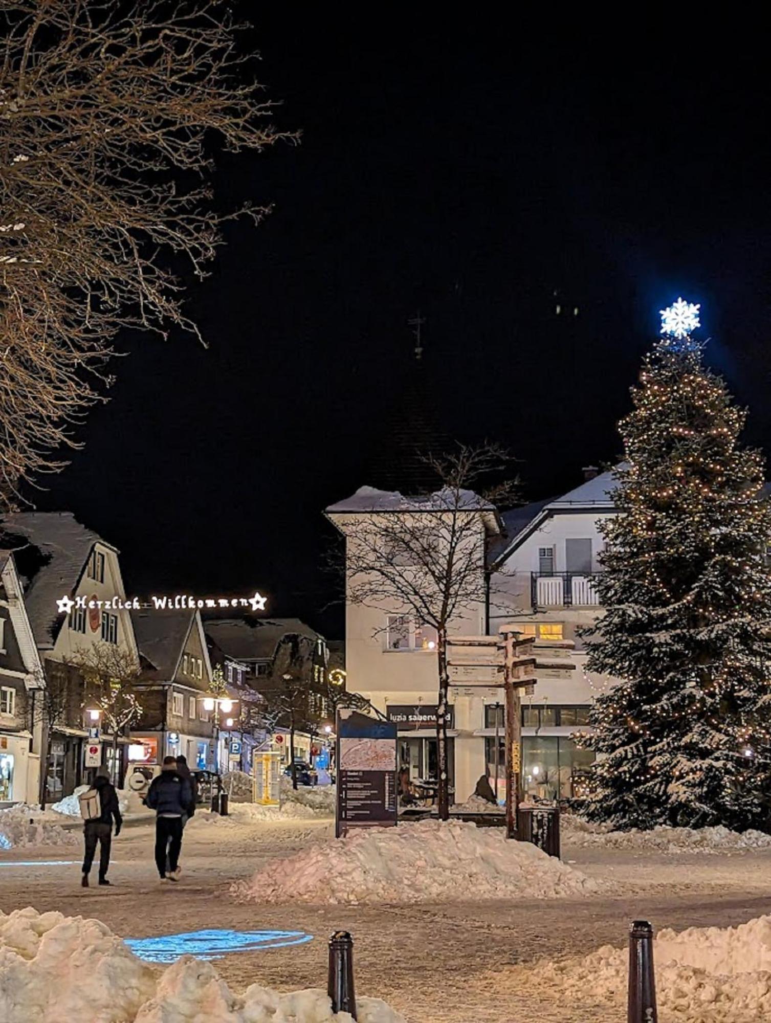 Citylight Apartment Winterberg